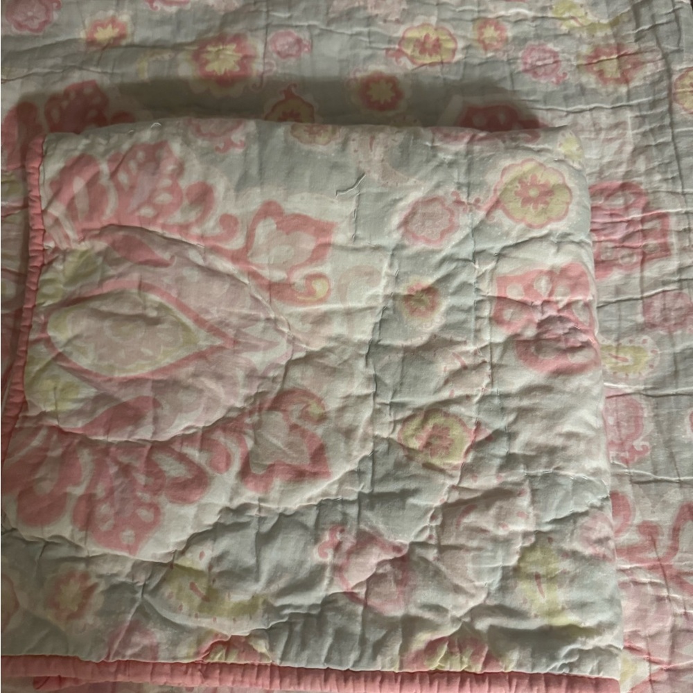 Two -Pottery Barn Kids Pink and White Floral Quilt and Euro Sham